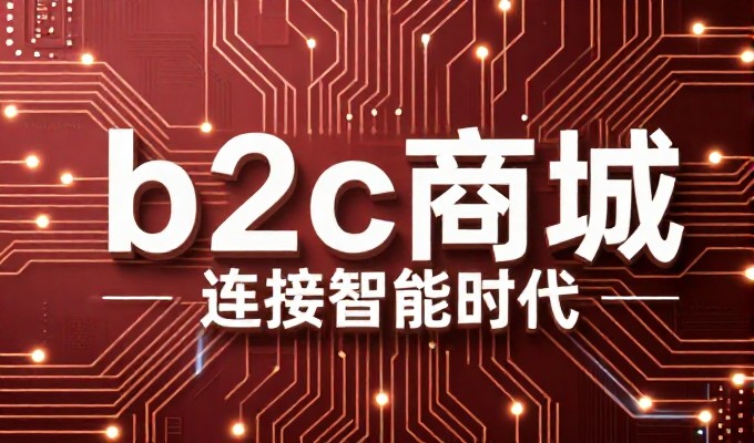 瑞丽企业GEO是自建还是外包更优